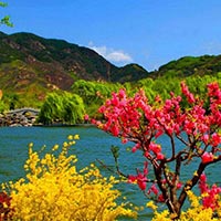 Paradise Kashmir Tou.. - Jammu - Srinagar - P.. Paradise Kashmir Tou.. - Jammu - Srinagar - P.. Image