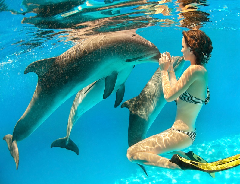 Amazing Mauritius Tour