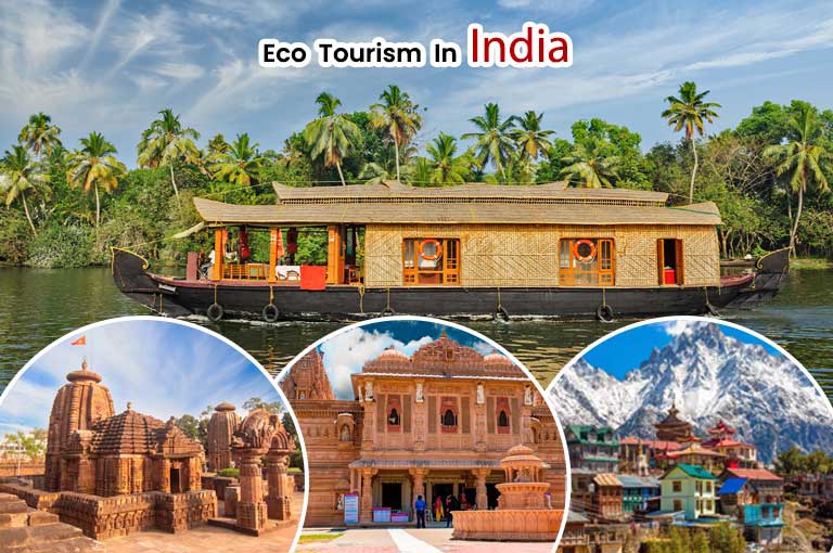 Eco Tourism In India : What Every Traveller Should Know Image