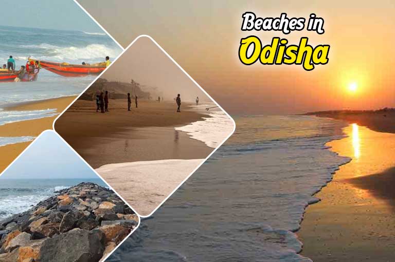 What Makes the Beaches in Odisha a Must Visit for Every Traveler Image